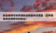 微信视频号如何增粉丝数量和点赞量（怎样增加微信视频号的粉丝）