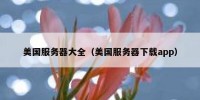 美国服务器大全（美国服务器下载app）