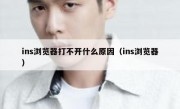 ins浏览器打不开什么原因（ins浏览器）