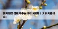 国外服务器租用平台推荐（国外十大服务器推荐）