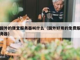 国外的便宜服务器叫什么（国外好用的免费服务器）