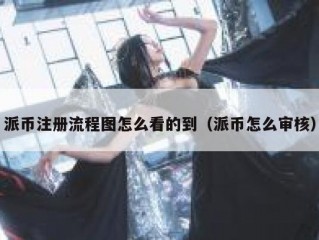 派币注册流程图怎么看的到（派币怎么审核）