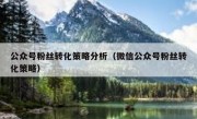 公众号粉丝转化策略分析（微信公众号粉丝转化策略）