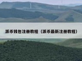 派币钱包注册教程（派币最新注册教程）