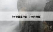 ins粉丝是什么（ins的粉丝）