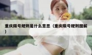 重庆限号规则是什么意思（重庆限号规则图解）