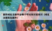 国外域名注册平台哪个可以支付宝支付（域名注册局在国外）