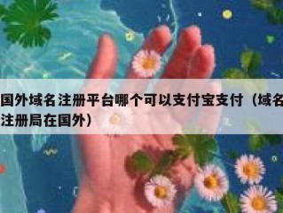 国外域名注册平台哪个可以支付宝支付（域名注册局在国外）