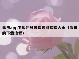 派币app下载注册流程视频教程大全（派币的下载流程）