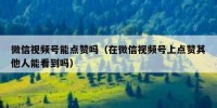 微信视频号能点赞吗（在微信视频号上点赞其他人能看到吗）