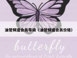 油管频道会员等级（油管频道会员价格）