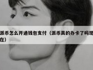 派币怎么开通钱包支付（派币真的办卡了吗现在）