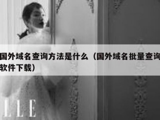 国外域名查询方法是什么（国外域名批量查询软件下载）
