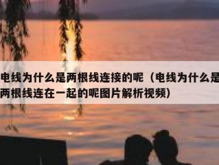 电线为什么是两根线连接的呢（电线为什么是两根线连在一起的呢图片解析视频）