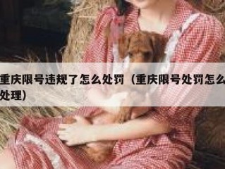 重庆限号违规了怎么处罚（重庆限号处罚怎么处理）