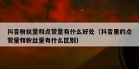 抖音粉丝量和点赞量有什么好处（抖音里的点赞量和粉丝量有什么区别）