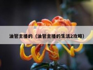 油管主播的（油管主播的生活2攻略）