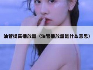 油管提高播放量（油管播放量是什么意思）