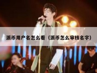派币用户名怎么看（派币怎么审核名字）