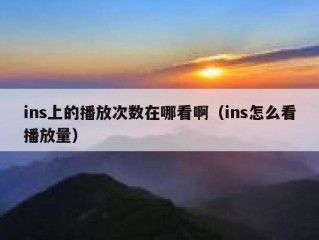 ins上的播放次数在哪看啊（ins怎么看播放量）