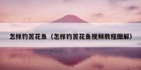 怎样钓苦花鱼（怎样钓苦花鱼视频教程图解）
