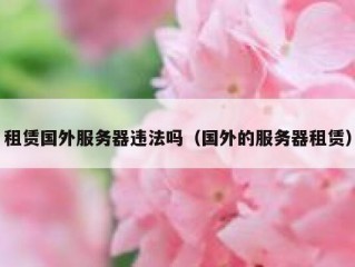 租赁国外服务器违法吗（国外的服务器租赁）
