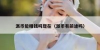 派币能赚钱吗现在（派币有前途吗）