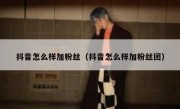 抖音怎么样加粉丝（抖音怎么样加粉丝团）