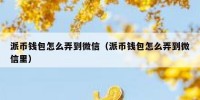 派币钱包怎么弄到微信（派币钱包怎么弄到微信里）