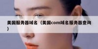 美国服务器域名（美国com域名服务器查询）