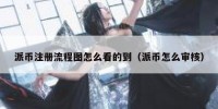 派币注册流程图怎么看的到（派币怎么审核）