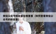 微信公众号粉丝量在哪里看（如何查看微信公众号的粉丝量）