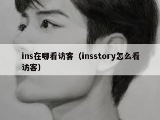 ins在哪看访客（insstory怎么看访客）