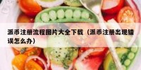 派币注册流程图片大全下载（派币注册出现错误怎么办）