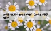 快手涨赞的软件有哪些好用的（快手怎样涨赞比较快）