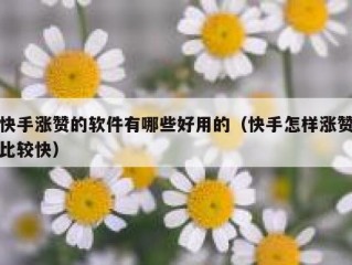快手涨赞的软件有哪些好用的（快手怎样涨赞比较快）