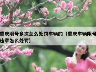 重庆限号多次怎么处罚车辆的（重庆车辆限号违章怎么处罚）