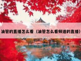 油管的直播怎么看（油管怎么看频道的直播）