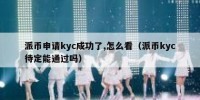 派币申请kyc成功了,怎么看（派币kyc待定能通过吗）