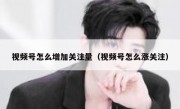 视频号怎么增加关注量（视频号怎么涨关注）