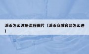 派币怎么注册流程图片（派币商城官网怎么进）