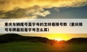 重庆车辆尾号是字母的怎样看限号数（重庆限号车牌最后是字母怎么算）