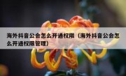 海外抖音公会怎么开通权限（海外抖音公会怎么开通权限管理）