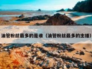 油管粉丝最多的是谁（油管粉丝最多的主播）