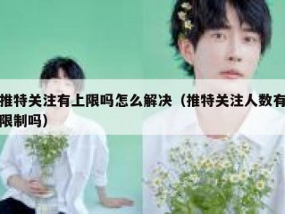推特关注有上限吗怎么解决（推特关注人数有限制吗）