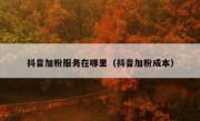 抖音加粉服务在哪里（抖音加粉成本）