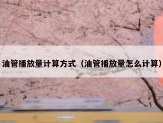 油管播放量计算方式（油管播放量怎么计算）
