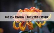 派币登入流程图片（派币登录不上咋回事）