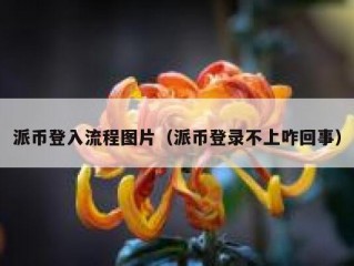 派币登入流程图片（派币登录不上咋回事）