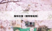 推特价值（推特有啥用）